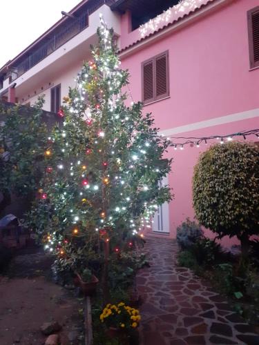 Guspini Bed & Breakfast | L'Agrifoglio di Emy