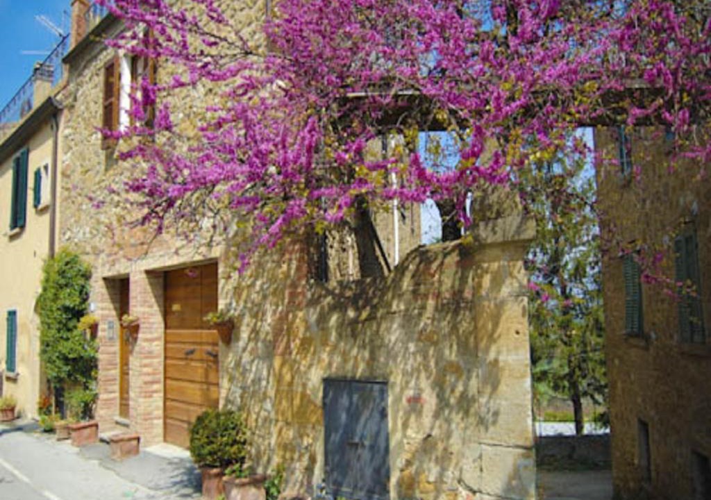 Castelmuzio Apartment | La Casa di Lucia