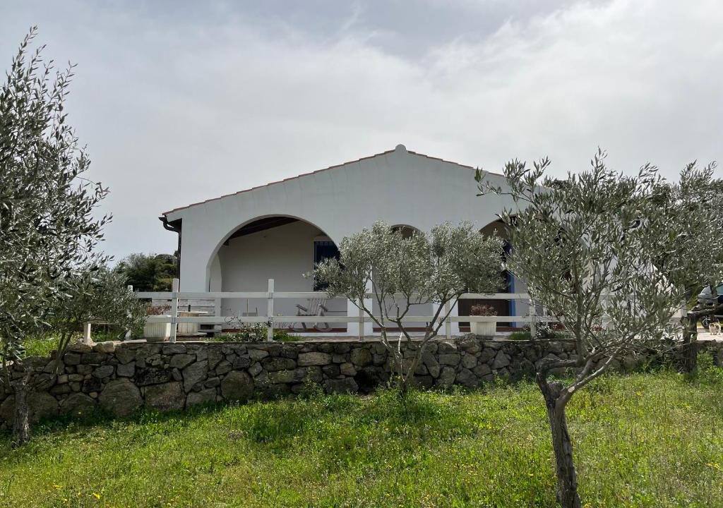 Berchidda House | La casa nell'oliveto