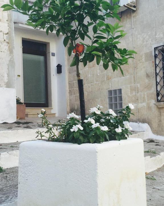 Oria Historic Centre Apartment | La Corte del Re