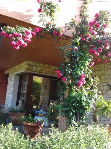 Monteforte d'Alpone Bed & Breakfast | La Dolce Vita