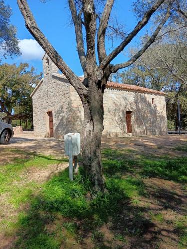 Sa Castangia Apartment | La Scola di Pirazzolu Retreat