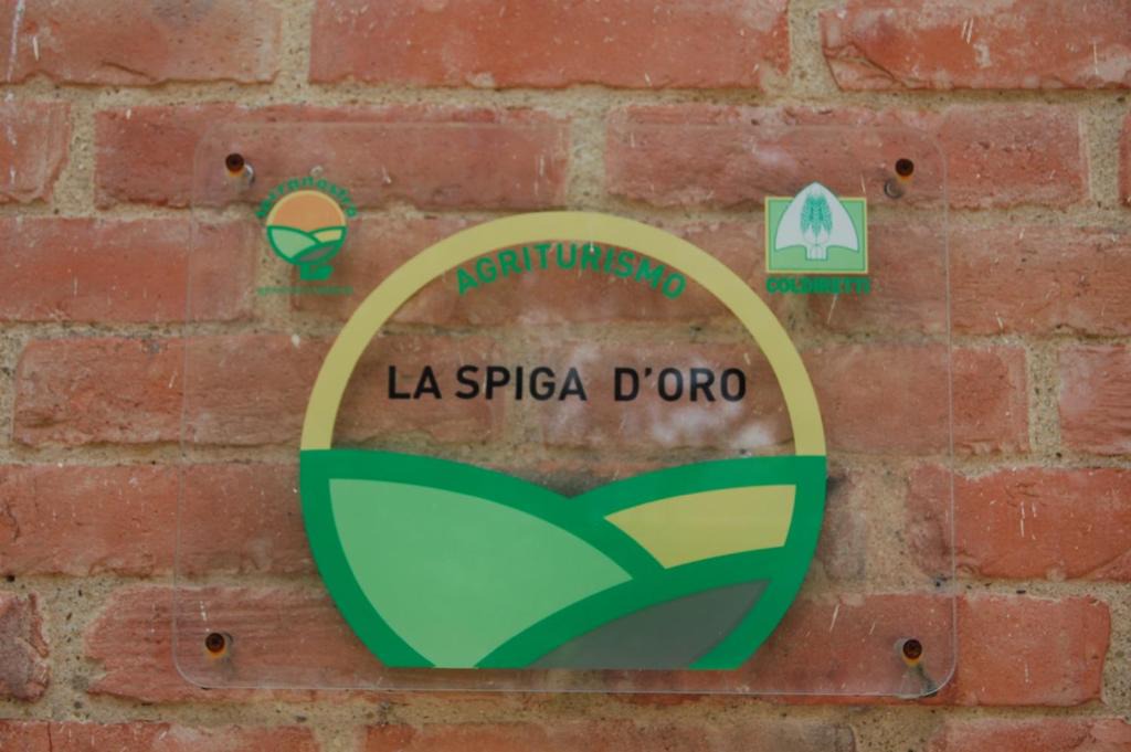 Foiano della Chiana House | La Spiga D'Oro