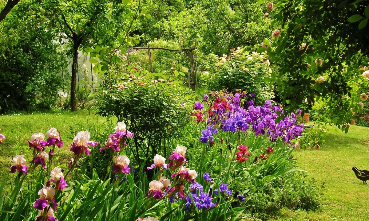 Stazzano Other | La Traversina - Agriturismo di Charme