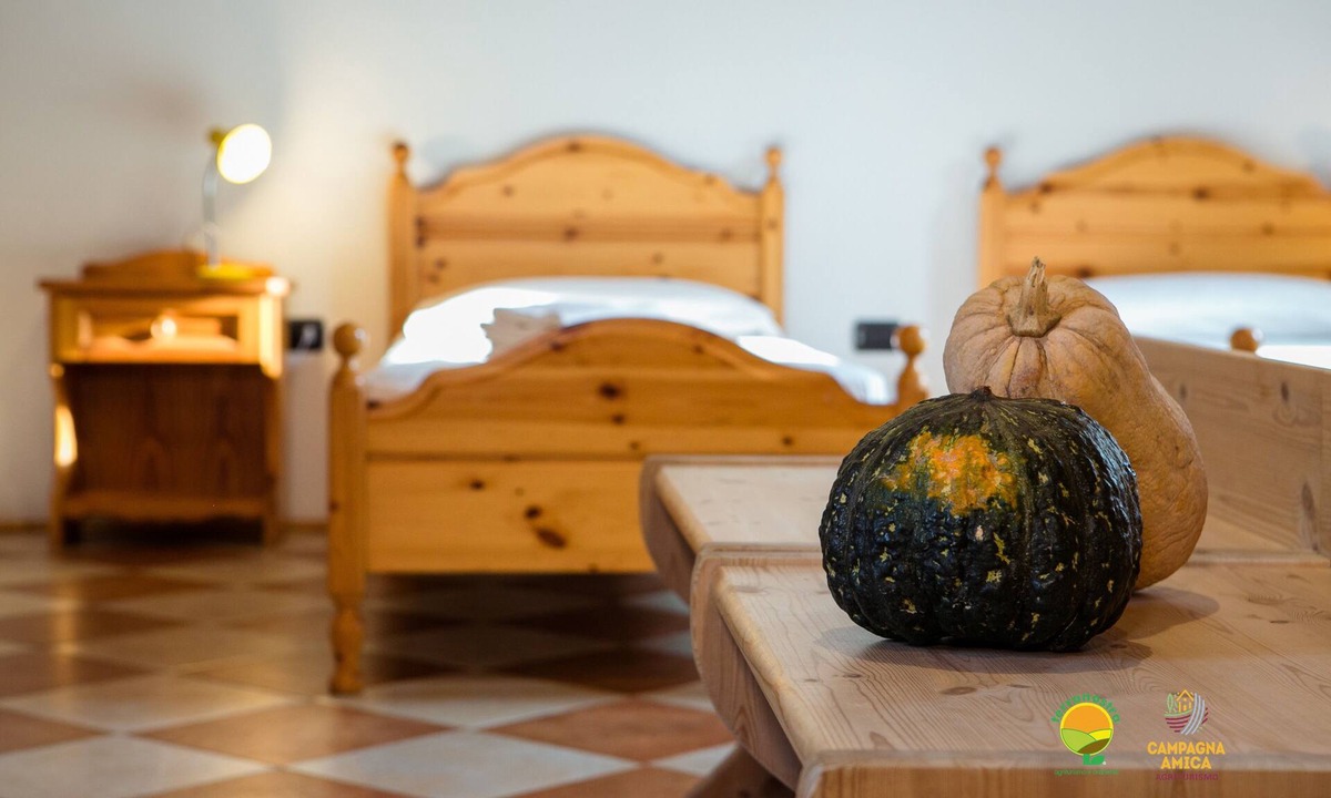 Torre di Mosto Apartment | La Via Antiga - Apartment # 4