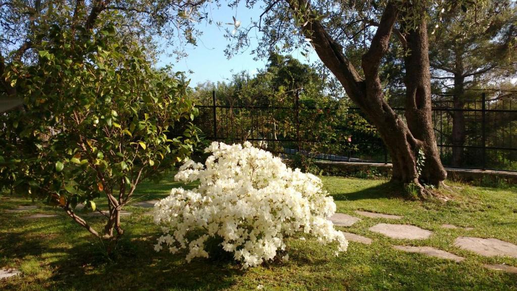 Finale Ligure Bed & Breakfast | La vie est belle