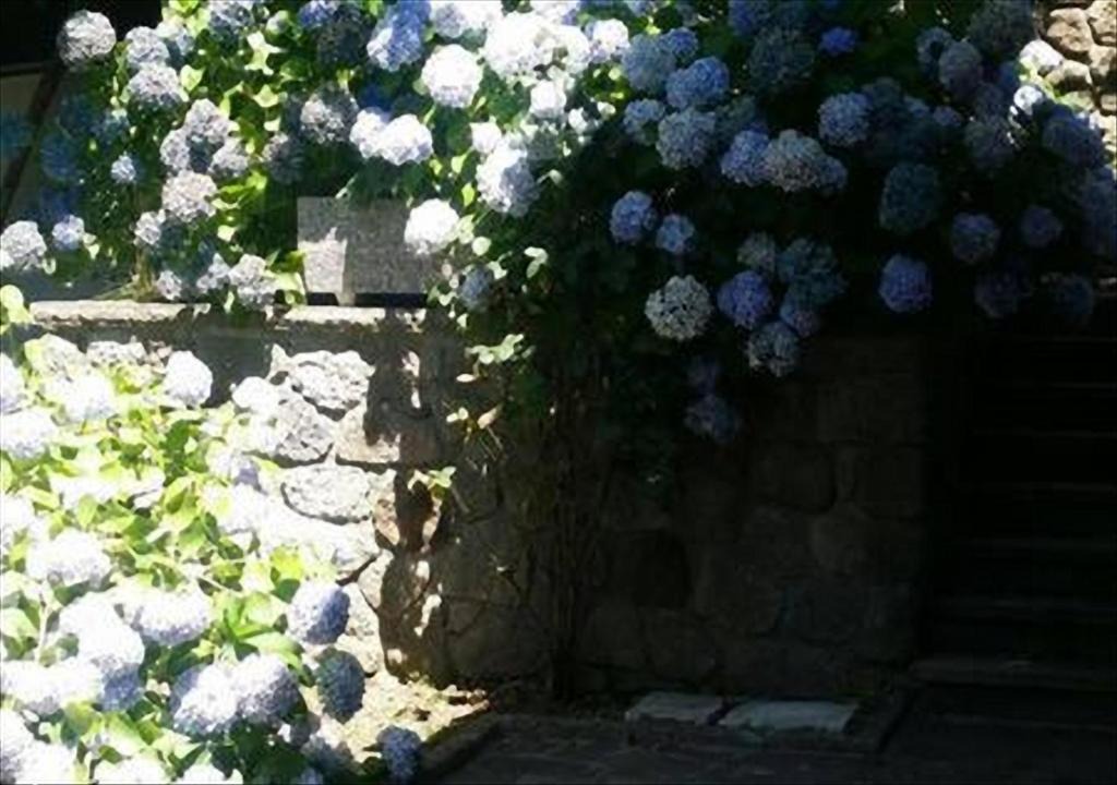 Vivo dʼOrcia Apartment | La Villetta In Montagna