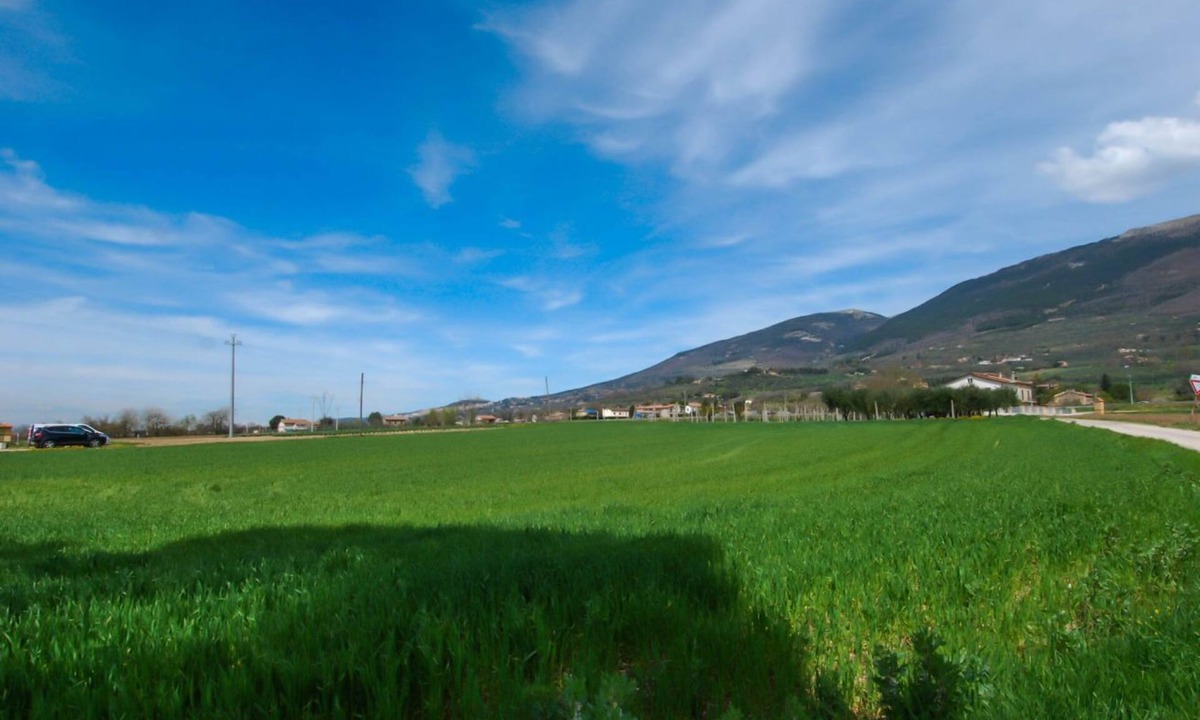 Casenuove Apartment | Located in the Capodacqua district of Assisi, 5 km from Assisi, Casa Fiorelli is a quiet apartment surrounded by nature with a wonderful view that stretches from Assisi to Mount Subasio.Located in a strategic position, it allows to reach in few kilometer
