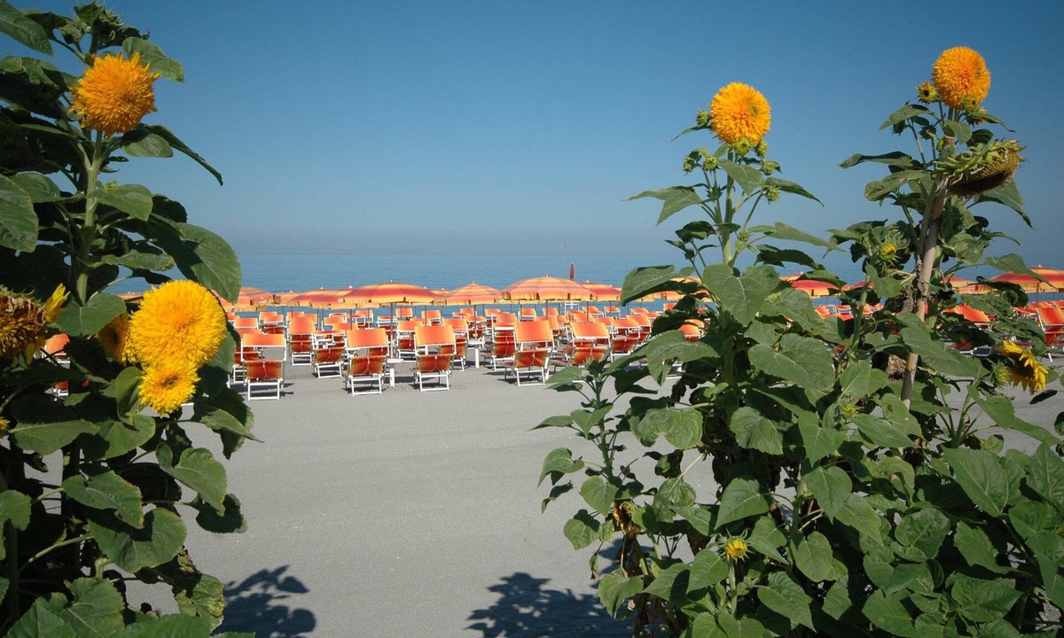 Amantea Hotel | Mediterraneo Palace Hotel