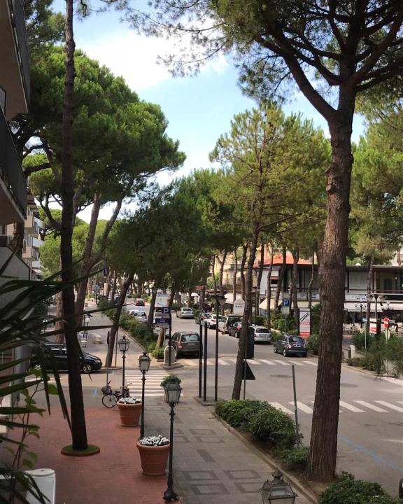Milano Marittima Bed & Breakfast | Mi Ma Rooms