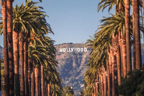 Hollywood Apartment | Modern Hollywood Apt with Pool Spa & Great Views