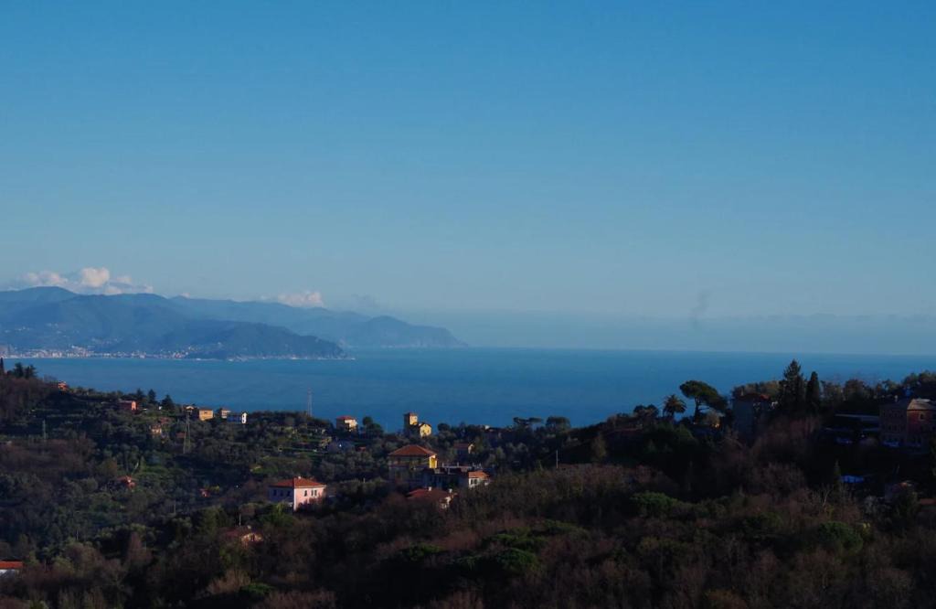 Ruta Apartment | Monolocale Fattorialmare Viola