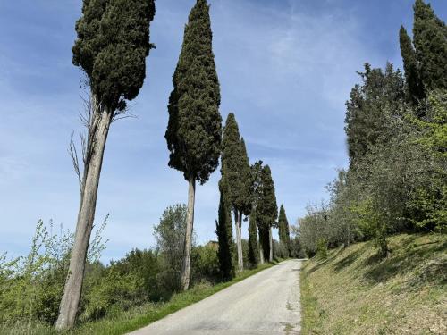 Certaldo Apartment | Montebello, Cuore Toscano
