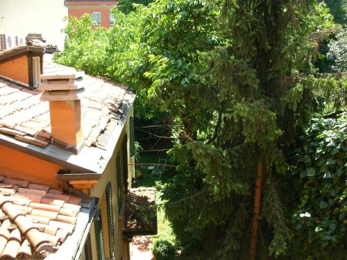 Historic Center Apartment | Nice Apartments in Downtown