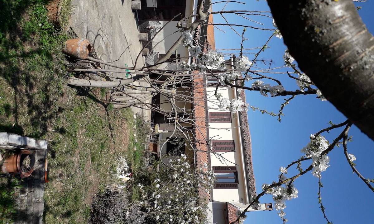Villa Biscossi House | Nicoletta House in Lomellina