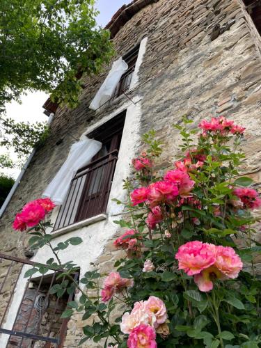 Orbregno House | Orbregno Country Houses with Personal Wine Cellar