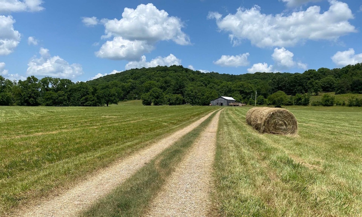 Sumner County Other | Rustic Tennessee Farmhouse on 100 acres of land