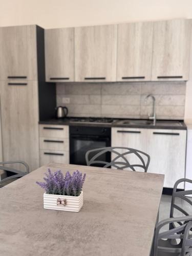 Sarno House | Sarno La Vecchia Cascina