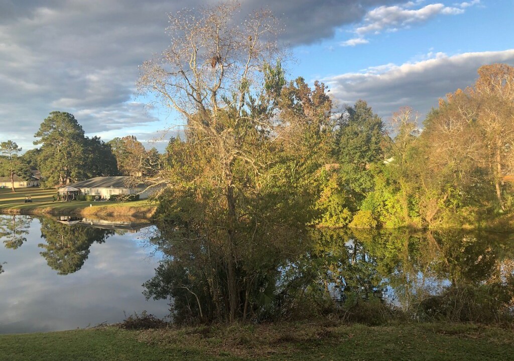 Alachua Condo | Scenic Waterviews - 2/2 King Condo with pool