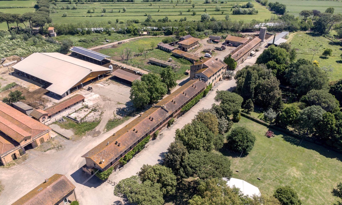 Monte Compatri Apartment | Tenuta Pantano Borghese - Livio Apartment