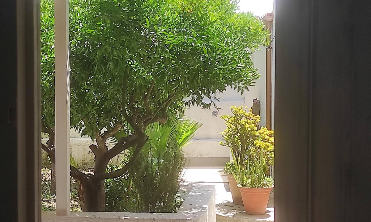 Birgi Vecchi House | Tourist lease