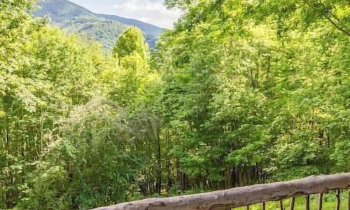 Maggie Valley Cabin | Tranquility Cabin | Rustic Mtn Retreat for 6