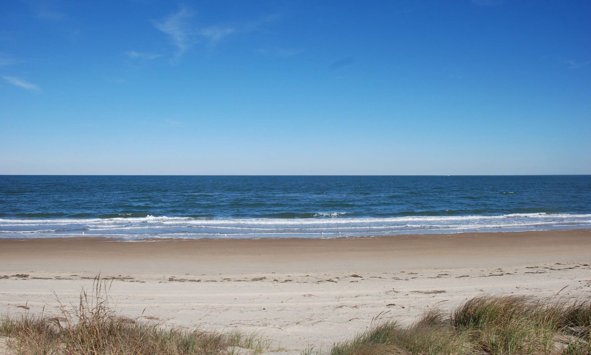 Bayview Cottage | Treetop Rustic Beach Front 2 Bedroom Apartment