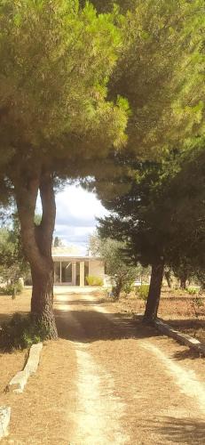 Racale Apartment | Trullo Contrada Specchi