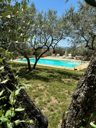 San Brizio Apartment | Uliveto Benedetti