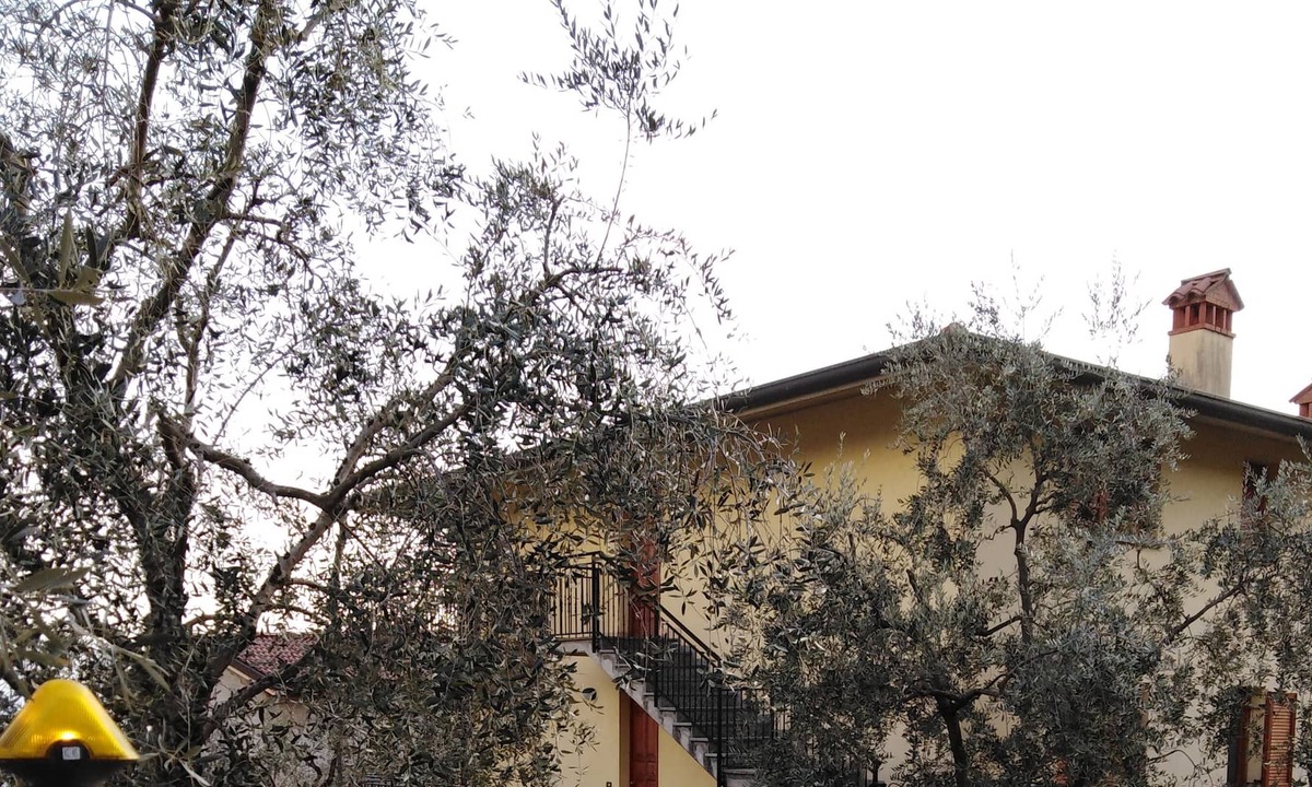 Zorzino Apartment | ULIVI TERRA apartment sleeps 6 in Riva Di Solto - Lake Iseo, Bergamo