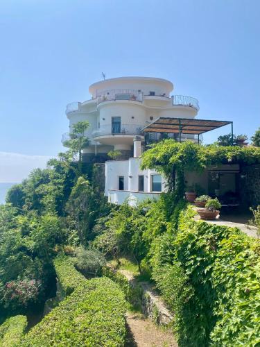 Caminia Villa | Villa Alcado