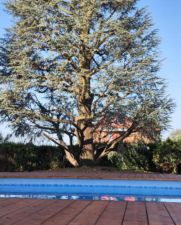 Gaglianico Bed & Breakfast | Villa Cresto