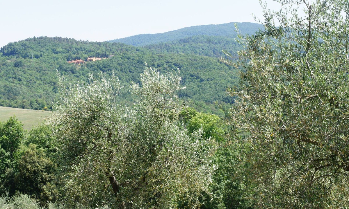 Gambassi Terme Villa | Villa in the woods and countryside near San Gimignano