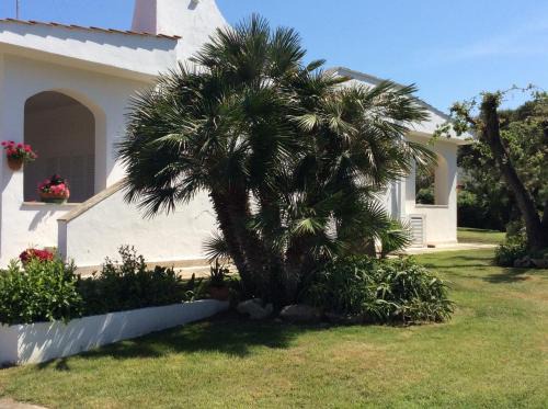 Villa Sul Mare Rosa Marina | Rosa Marina