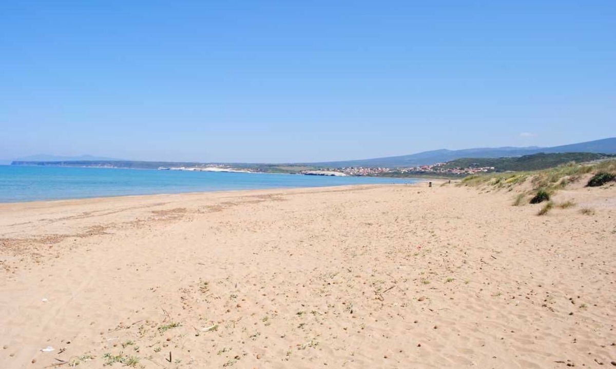 Narbolia Villa | Villa under pine trees by the sea