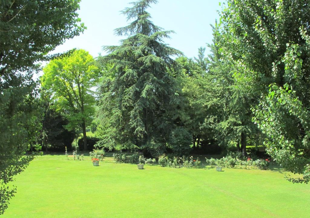 Gargallo House | Villa Uva