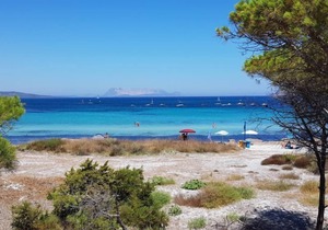 Apartment Bouganvillage (BUD252) in Budoni - 6 persons, 2 bedrooms