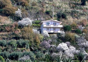 Apartment Gaetano in Santa Maria di Ricadi - 4 persons, 2 bedrooms