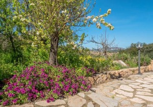 Appartamento 2 in Villa in campagna