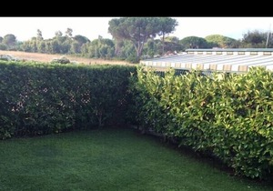 Argentario villa on the sea