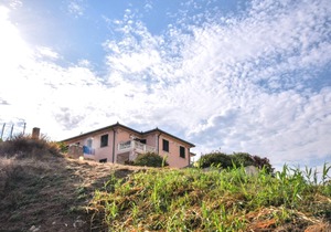 Attractive holiday apartment for a relaxing holiday near the sea.
