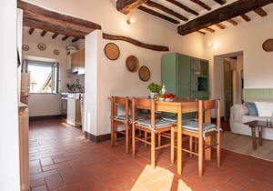 Casa Paciano, near town, apartments with pool, Vite