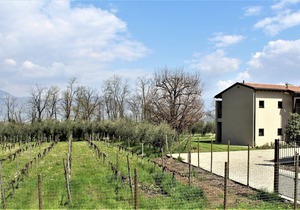 Franciacorta Apartment2 - Pool View Chalet
