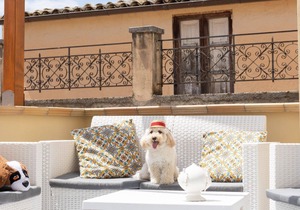 Holiday apartment Sciacca for 1 - 3 persons with 1 bedroom - Holiday house