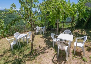 Holiday Home in Sellano with Pool & Sun Terrace