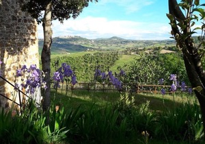 Holiday house Torrita di Siena for 1 - 6 persons with 3 bedrooms - Holiday home