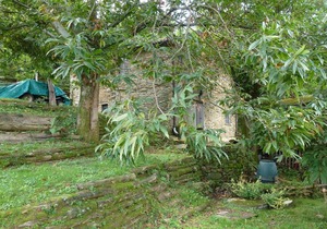 Holiday house Massa for 1 - 6 persons with 2 bedrooms - Holiday home