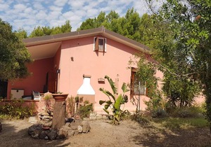 HOME HOLIDAYS PINTADERA