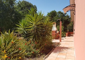 HOME HOLIDAYS PINTADERA