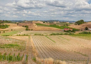 Idyllic Farmhouse in Gambassi Terme-Fi with Swimming Pool